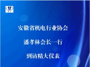 安徽省機(jī)電行業(yè)協(xié)會(huì)潘孝林會(huì)長(zhǎng)一行到訪(fǎng)精大儀表